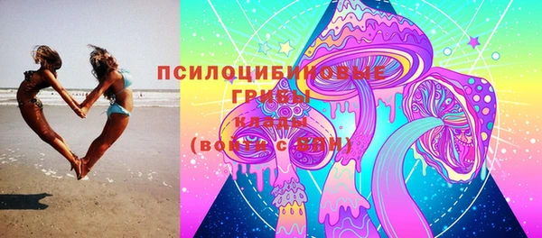 молекула духа Наволоки
