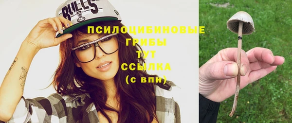 бутират Алзамай