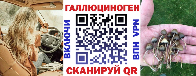 где купить наркотик  kraken сайт  Галлюциногенные грибы Magic Shrooms  Апрелевка 